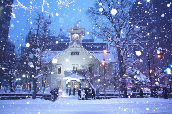 🌨️ 雪国驰骋·自在随行 | 札幌包车，解锁北国秘境之美